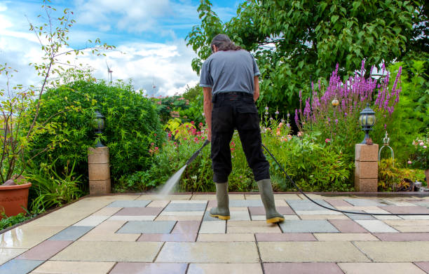Best Driveway Pressure Washing  in Rotonda, FL